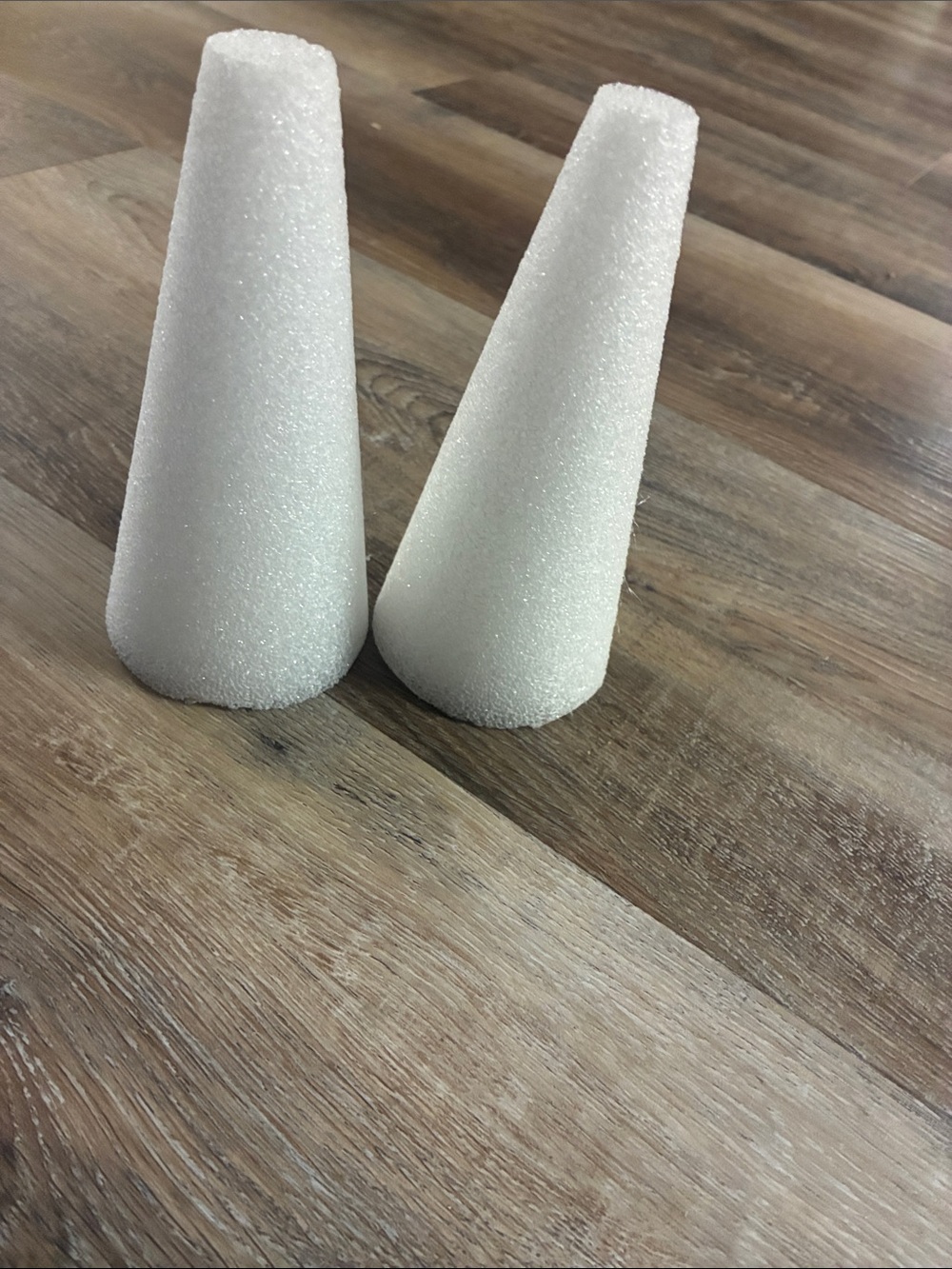 2 styrofoam cones